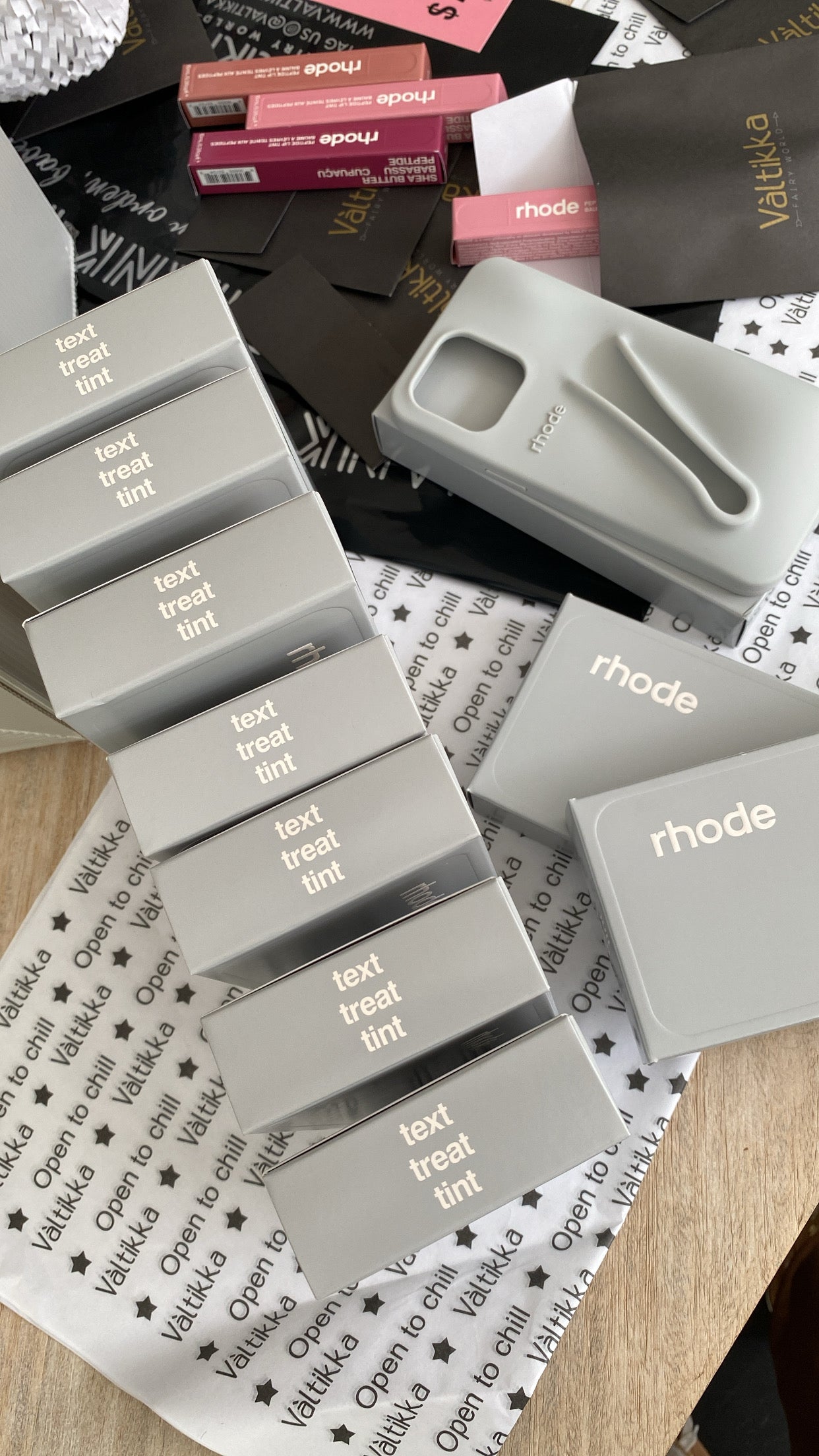 RHODE LIP CASE