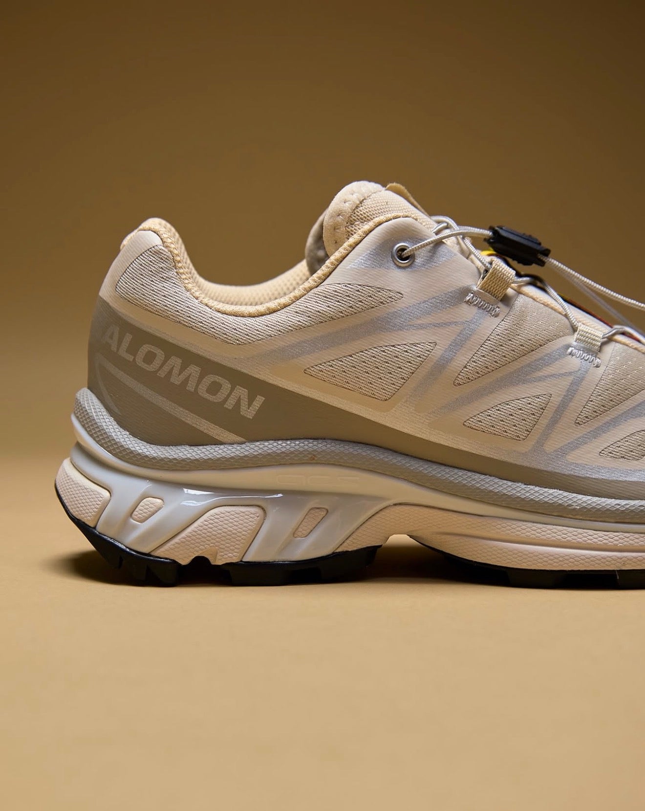 SALOMON